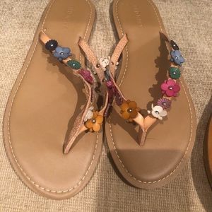 Lot of flip flops.  Mossimo. Old Navy and Sugar.